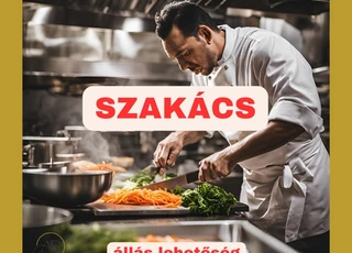 Szakács állás